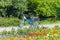 Blue bicycle on park`s lane surrounded by blooming flowers