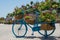 Blue big flower pot shaped bicycle with red flowers inside