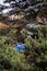 Blue big plastic bottle lying on the ground in tree in a park forest - Thrown out not recycled - Trash and pollution of