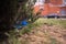 Blue big plastic bottle lying on the ground in tree in a park forest - Thrown out not recycled - Trash and pollution of