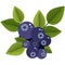 Blue bilberries bunch with leaves flat vector icon