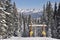 Blue Bird Day, Beaver Creek, Gore Range, Avon Colorado, Ski resort