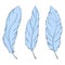 Blue bird feather line art set vector