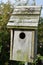 Blue Bird House in front of nearly wild roses