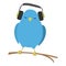 Blue bird listening to music