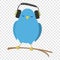 Blue bird listening to music