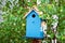 Blue birdhouse on the tree