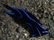 Blue and black coloured headshield slug