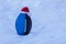 Blue Black Junior football wearing a Santa Claus Hat on Snow