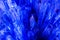 A Blue Blown Glass Close-Up Texture