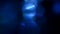 Blue, blurred, bokeh lights background 1080p loop
