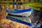 Blue boat on the lake in autumn forest.