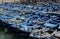 Blue boats Essaouira