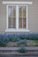 Blue Bonnets near a church window