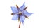 Blue borage flower