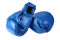 Blue boxing-gloves