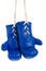 Blue boxing gloves