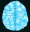 Blue brain with nerve vector