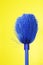 Blue Broom on Yellow