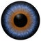 Blue and brown 3d eyeball texture with black fringe