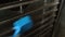 Blue brush in hand of worker cleans washes industrial oven.