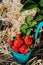 Blue bucket full of fresh pick strawberries. Strawberry field on sunny day. Green foliage in background