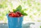 Blue bucket full of ripe raw redcurrant on a wooden desk in spring garden