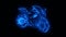 Blue Burning Race Moto Bike Logo with Reveal Effect