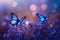 Blue Butterflies Flutter Over Wildflowers With Empty Space With Bokeh. Generative AI