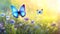 Blue butterflies flying on a warm day in a magical garden. Spring in the meadow among wildflowers. Seasonal background