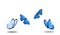 Blue butterflies take off isolatedly on white background