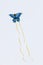Blue butterfly kite flying