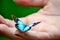 Blue butterfly in the palm of the hand