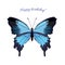 Blue butterfly papilio ulysses isolated vector on white background