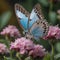 Blue Butterfly on Pink Blossoms