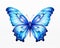 The Blue Butterfly Princess and Her Amazing Avatar