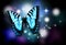 Blue Butterfly with Sparkles on Black Background
