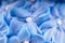 Blue cake frosting detail with decorative flowers