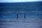 Blue calm Sea and two groynes are looking out