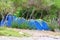Blue camping tents stand in the green rainforest