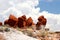 BLUE CANYON, HOPI RESERVATION, ARIZONA