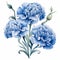 Blue Carnation Watercolor Vector Illustration On White Background