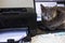 blue cat of the American Burmese breed lies on the keyboard