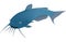 Blue Catfish Illustration