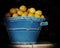 Blue ceramic tub of lemons black background