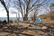 Blue chair in camp at the Black Sea coast, Crimea