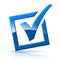 Blue check box icon