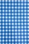 Blue checkered or tartan background.