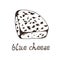 Blue cheese hand drawn vector illustration