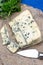 Blue cheese made from cow milk with Penicillinum mold, tasty soft cheese with specific odor